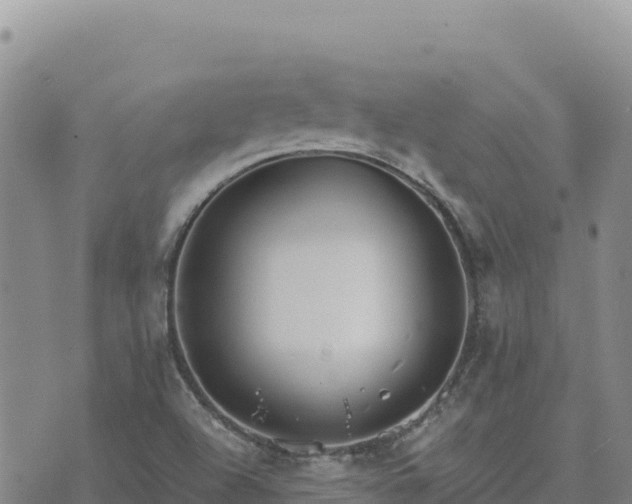 X0000073701504200608101800