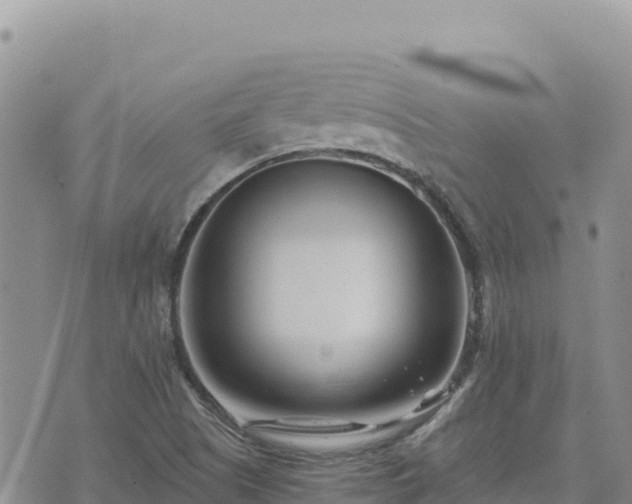 X0000073701505200608101800