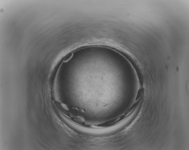 X0000073701506200608101800