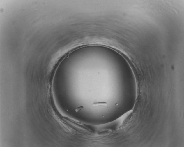 X0000073701507200608101800