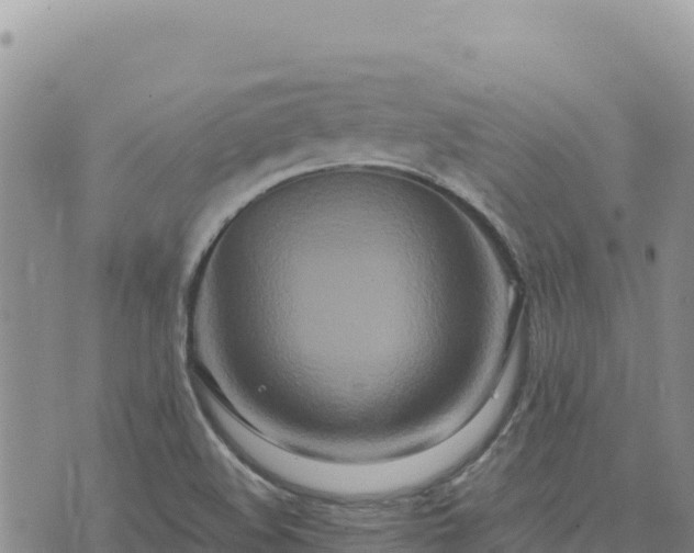 X0000073701508200608101800