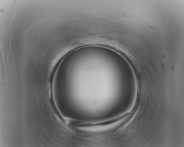 X0000073701509200608101800