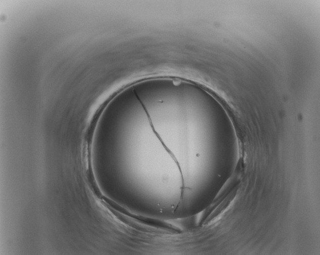 X0000073701510200608101800