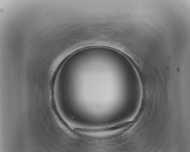 X0000073701511200608101800