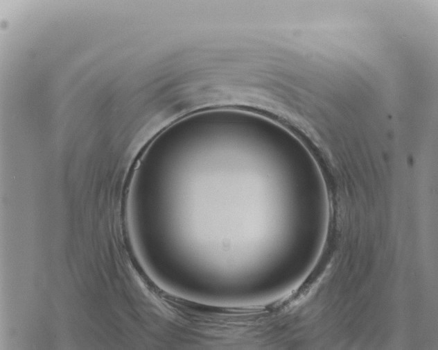 X0000073701513200608101800