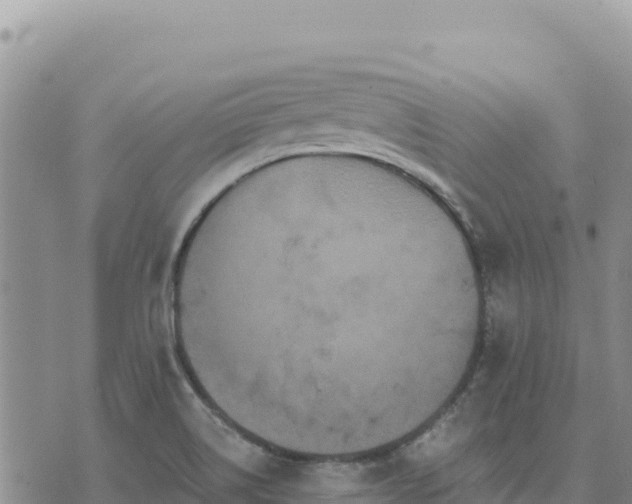 X0000073701514200608101800