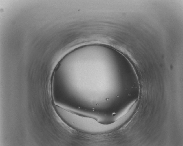 X0000073701516200608101800