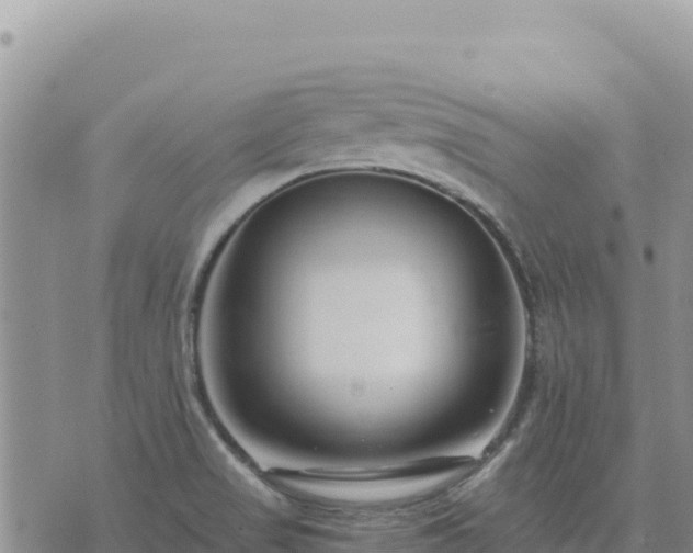 X0000073701517200608101800