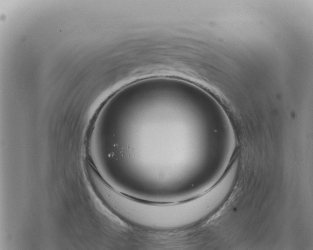 X0000073701518200608101800