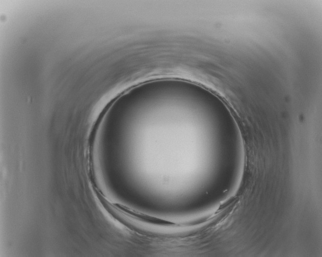 X0000073701519200608101800