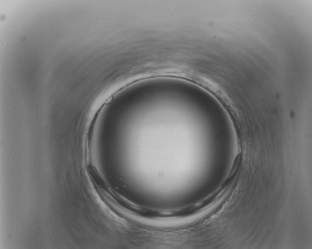 X0000073701520200608101800