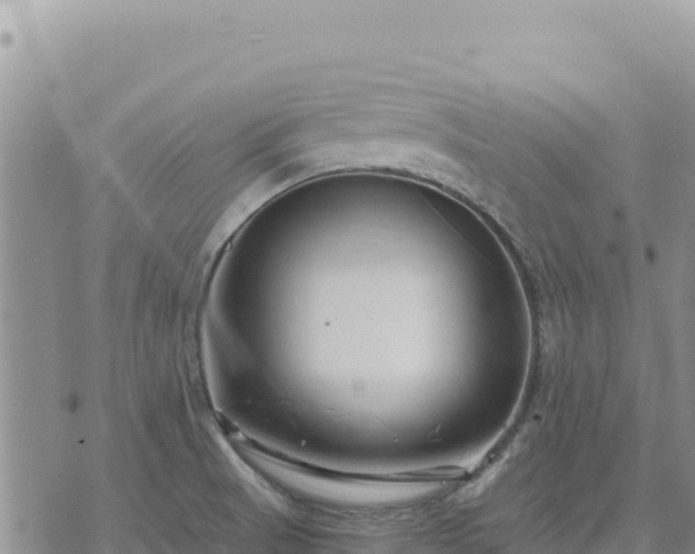 X0000073701521200608101800