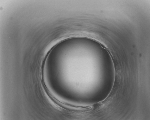 X0000073701523200608101800