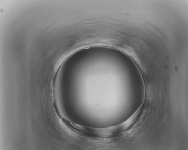 X0000073701524200608101800