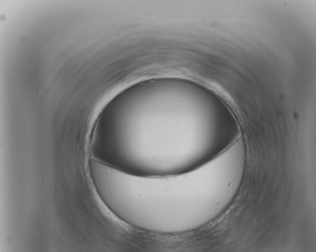 X0000073701528200608101801