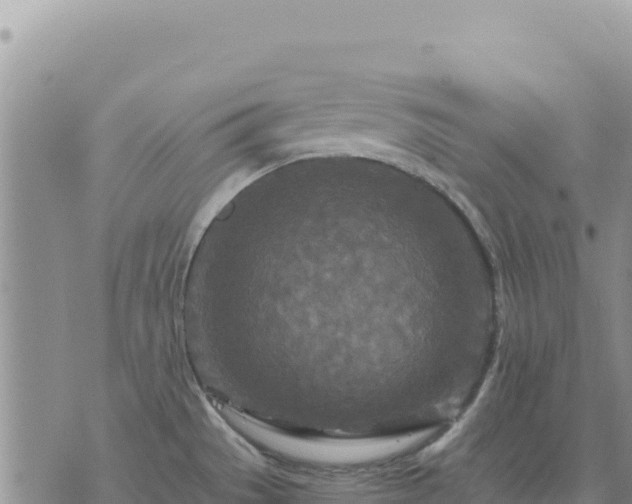 X0000073701529200608101801