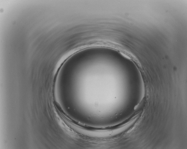 X0000073701530200608101801