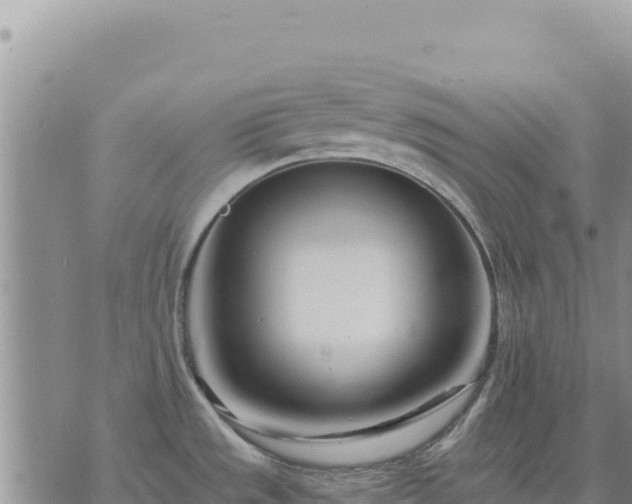 X0000073701533200608101801