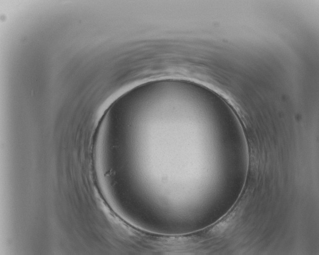 X0000073701534200608101801