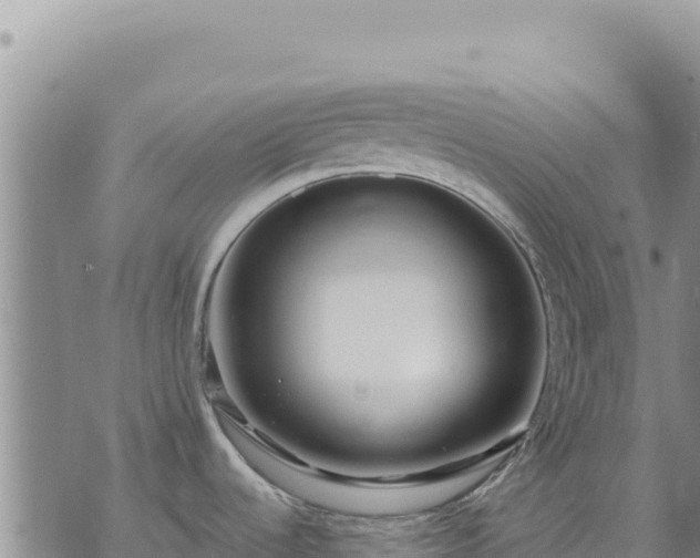 X0000073701536200608101801