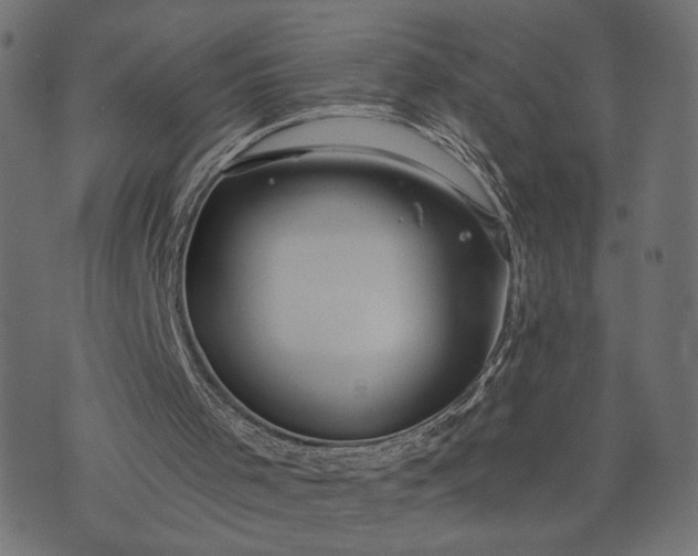 X0000073700001200608171125