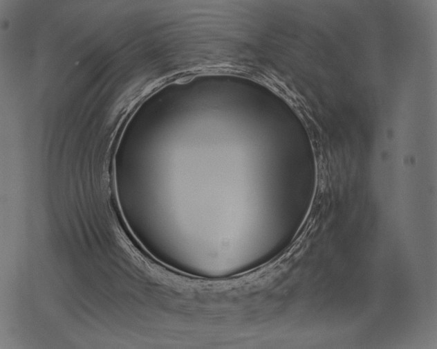 X0000073700002200608171125