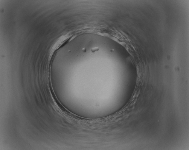 X0000073700003200608171125