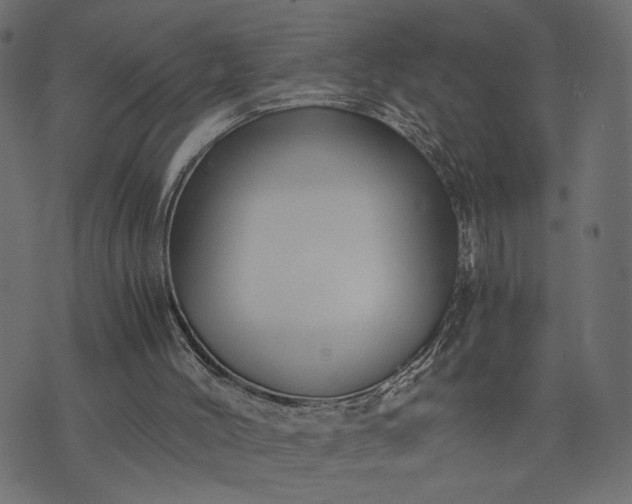 X0000073700004200608171125