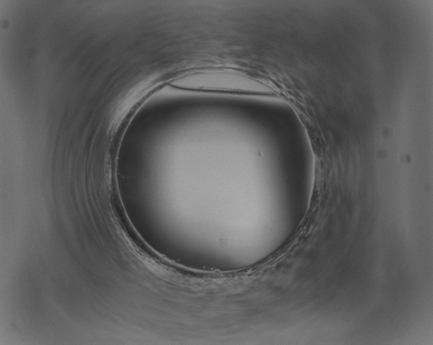 X0000073700005200608171125