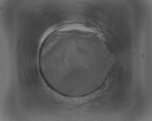 X0000073700006200608171125