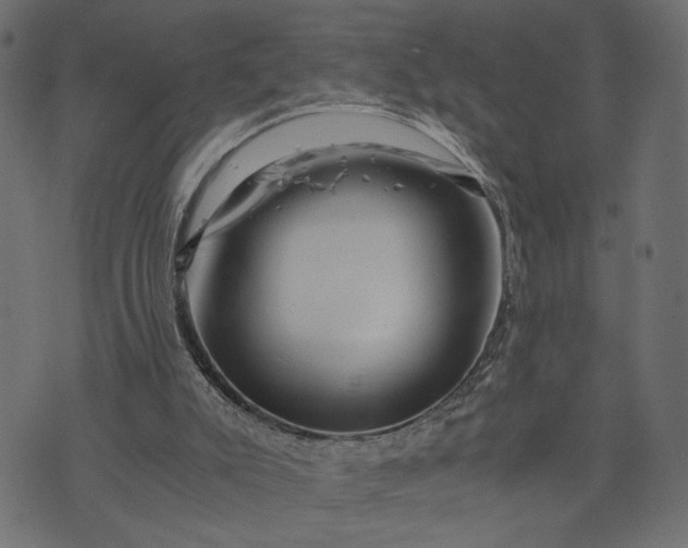 X0000073700007200608171124