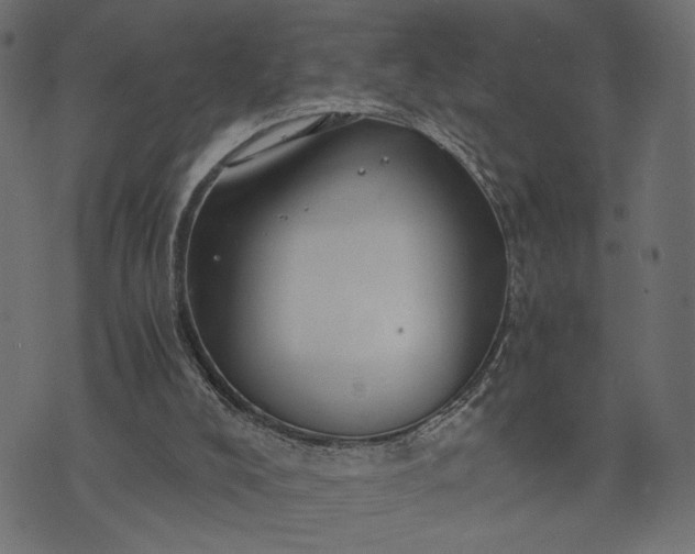 X0000073700008200608171124