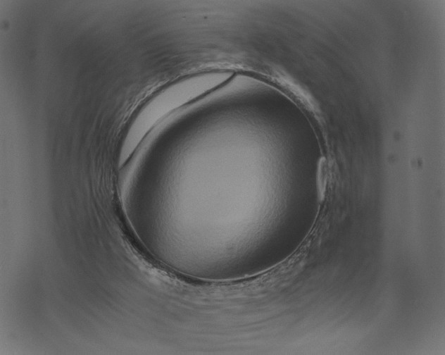 X0000073700009200608171124