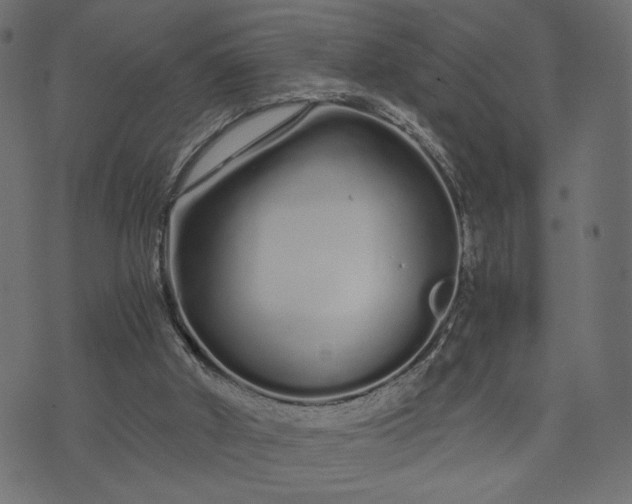 X0000073700010200608171124