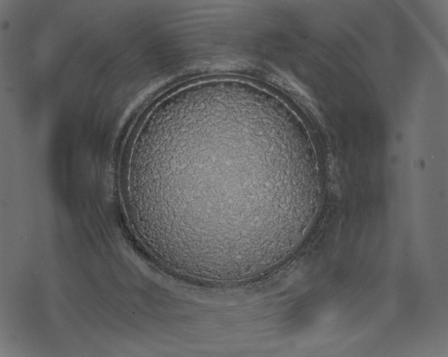 X0000073700012200608171124