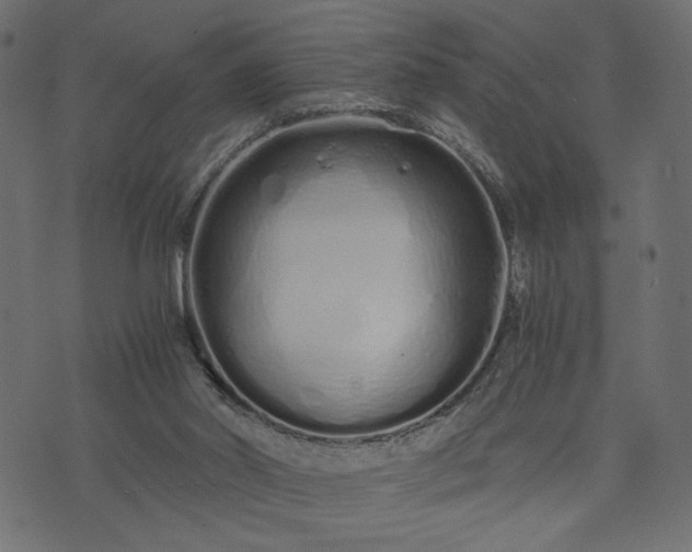 X0000073700014200608171124