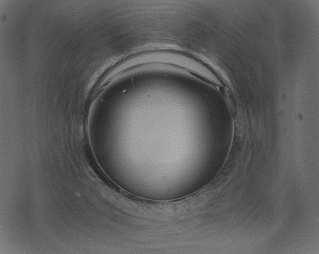 X0000073700015200608171124