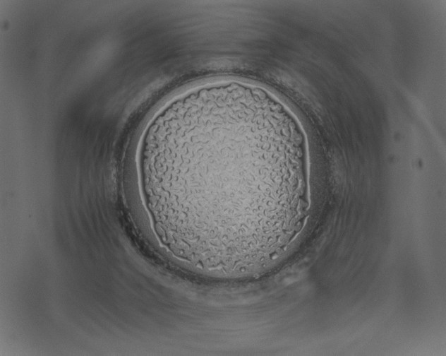 X0000073700016200608171124