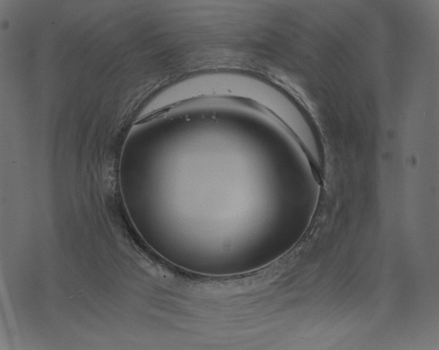 X0000073700017200608171124