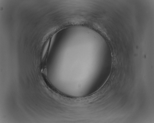 X0000073700019200608171124