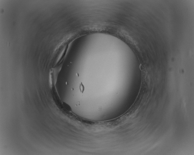 X0000073700020200608171124