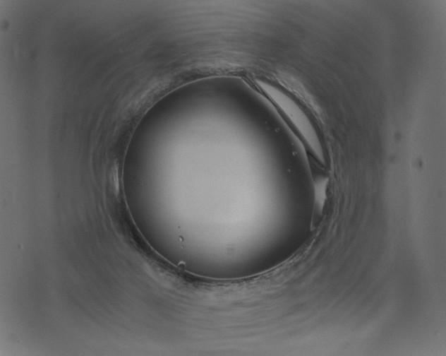 X0000073700021200608171124