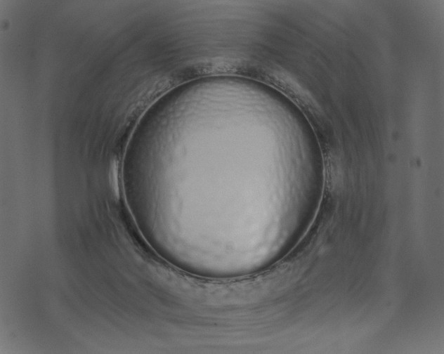 X0000073700022200608171124