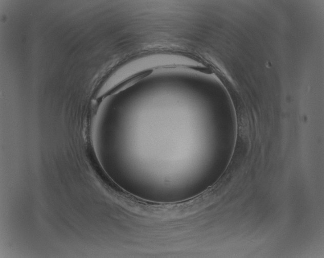 X0000073700023200608171124