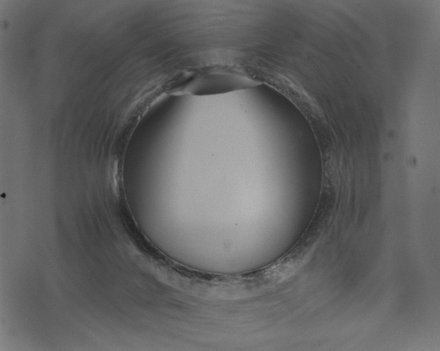 X0000073700024200608171124