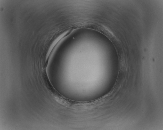 X0000073700025200608171124