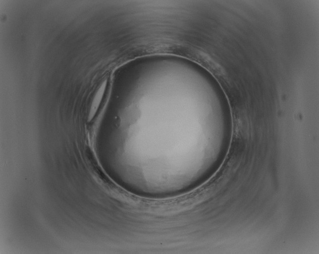 X0000073700026200608171124