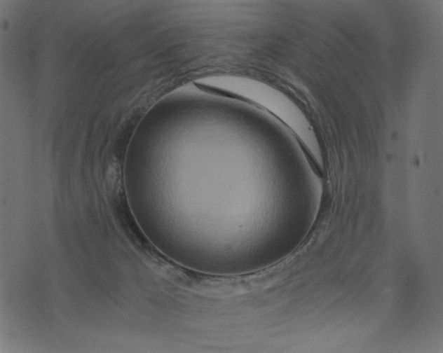 X0000073700029200608171124