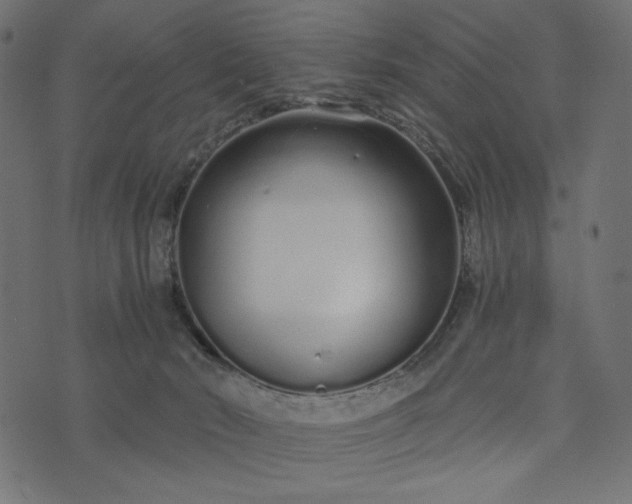 X0000073700030200608171124