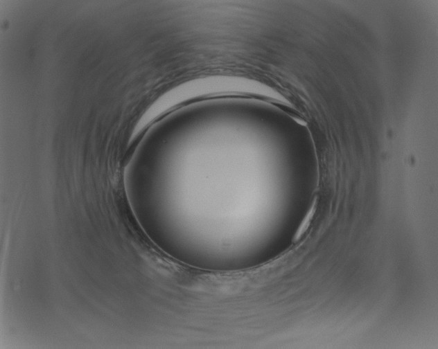 X0000073700033200608171124